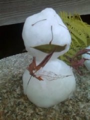 ��ʁA����̐��E�|�B