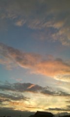 �J������������̋�F