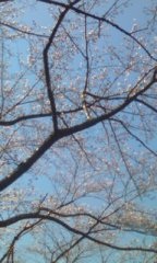 ���Ԍ��C��