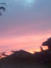 �̂̋L����